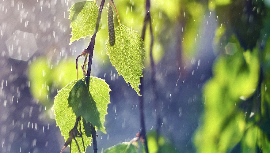 Дождь ожидается во вторник в Нур-Султане, в Алматы и Шымкенте без осадков
