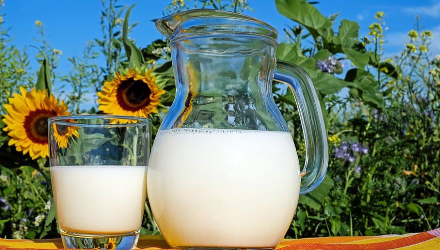 Подорожанием кормов объяснил рост цен на молочную продукцию минсельхоз Казахстана