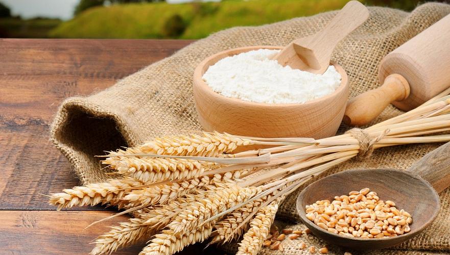 Более 860 тыс. тонн зерна и муки экспортировал Казахстан в октябре – МСХ