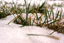 Промерзание почвы сохраняется в шести областях Казахстана