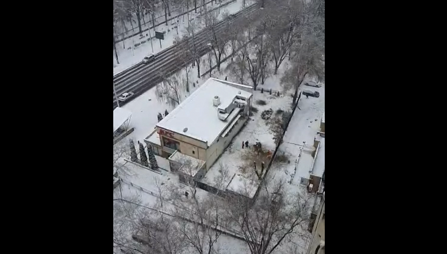 Карагачи на территории KFC в Алматы спилили на фоне скандала с вырубкой деревьев у Sulpak (видео)