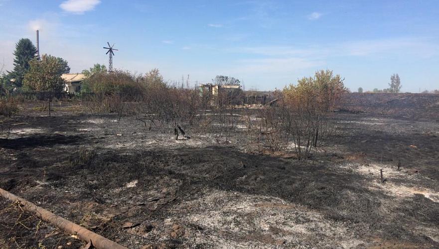 16 дачных участков уничтожены огнем в Павлодарской области 