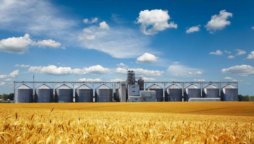 Валовой сбор зерна в Казахстане прогнозируется на уровне 21-22 млн тонн (доп.)