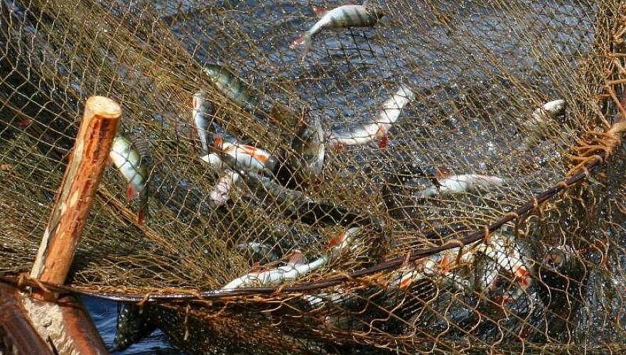 В северной части Каспийского моря введен запрет на ловлю рыбы 