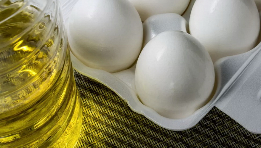 Цены на яйца и подсолнечное масло заморозили в Туркестанской области
