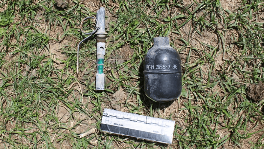 Пастух нашел гранату в Шымкенте