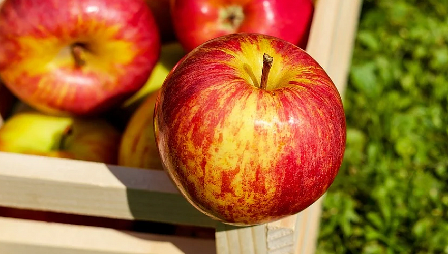 Казахстан увеличил поставки яблок и сушеного гороха в Россию