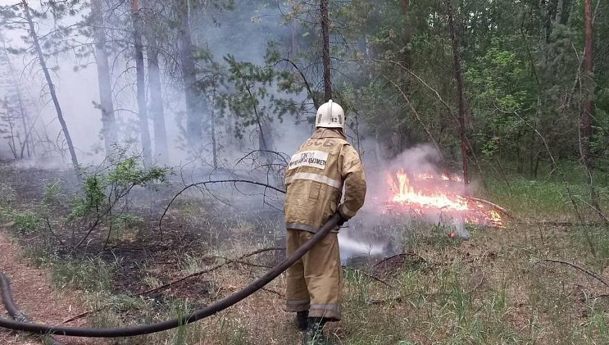 На девяти участках продолжается тушение природного пожара в области Абай