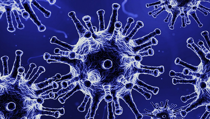 21 новый случай заражения коронавирусом зафиксировали в Казахстане