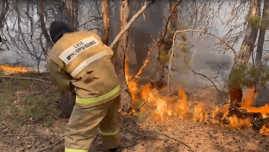 ОАЭ выделили $1 млн помощи пострадавшей от пожаров Костанайской области