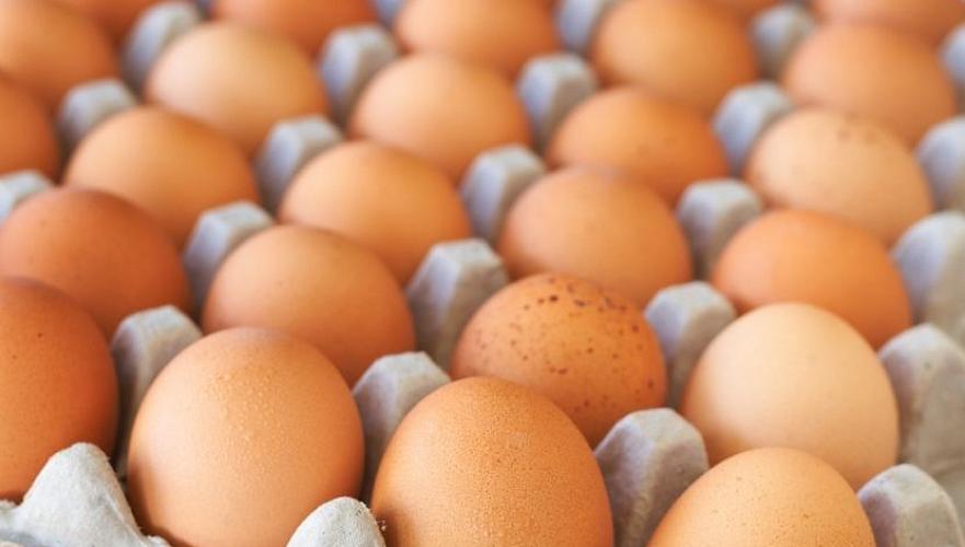 Производители яиц снизили цену на 5% в Шымкенте и Акмолинской области