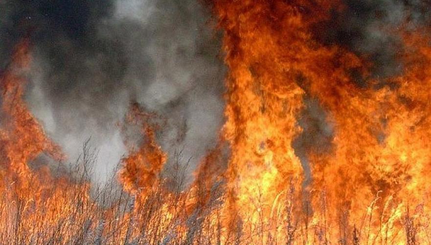 Всплеск степных и лесных пожаров наблюдается в Павлодарской области