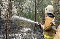 На шести участках общей площадью 30 тыс. га тушат лесной пожар в области Абай