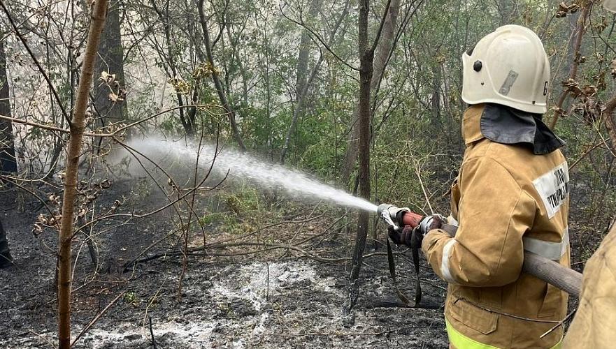На шести участках общей площадью 30 тыс. га тушат лесной пожар в области Абай