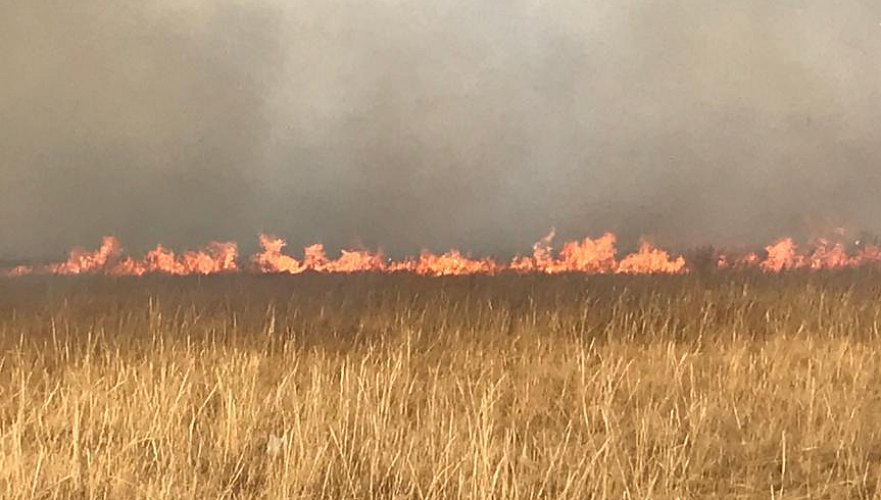 В Павлодарской области предлагают изымать земли у поджигателей сенокосных угодий 