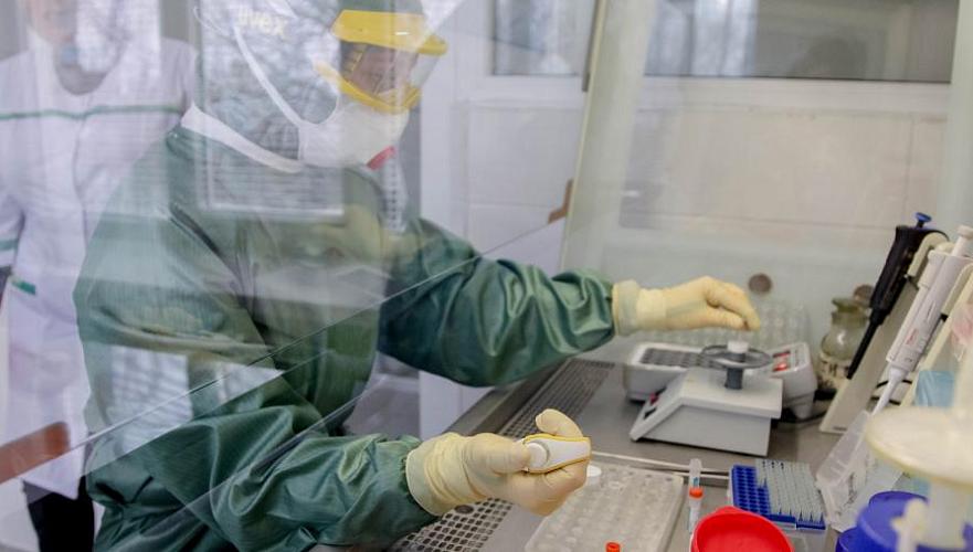 Россия передала странам ЕАЭС средства лабораторной диагностики коронавируса