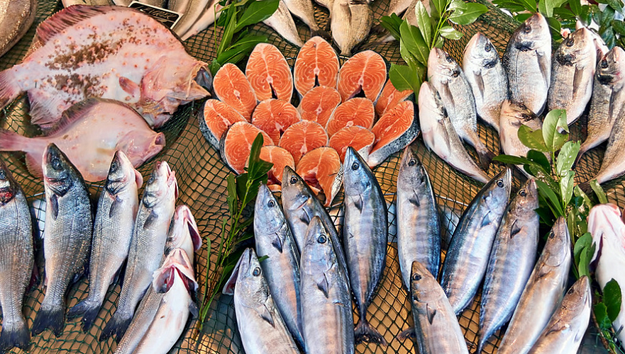 Переходный период по техрегламенту на рыбу и рыбную продукцию завершился в ЕАЭС