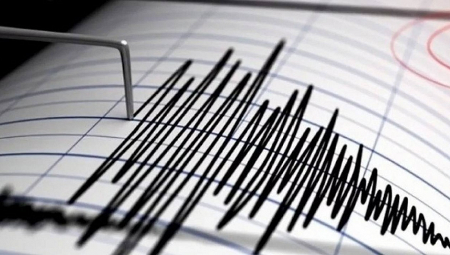 Землетрясение магнитудой 3,1 произошло в 10 км от Алматы