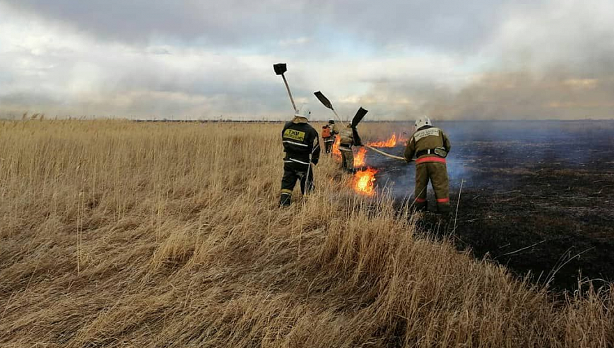 Два природных и девять степных пожаров прямо сейчас тушат службы ЧС Казахстана