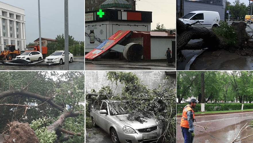 Ураган сорвал кровли с множества зданий и вырвал с корнями некоторые деревья в Караганде