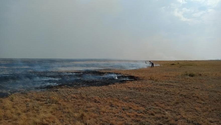 Сразу два степных пожара тушат в Каркаралинском районе Карагандинской области