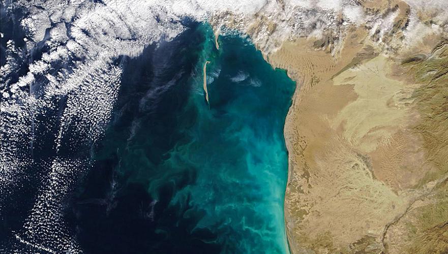 Феномен «молочных вихрей» на Каспийском море в NASA назвали возможной угрозой для рыболовства