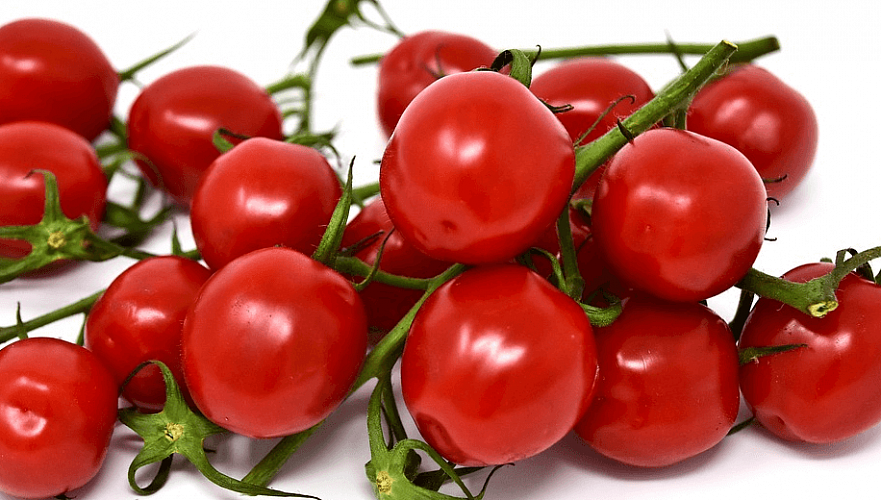 Минсельхоз Казахстана назвал вымыслом сообщение Россельхознадзора о зараженных томатах