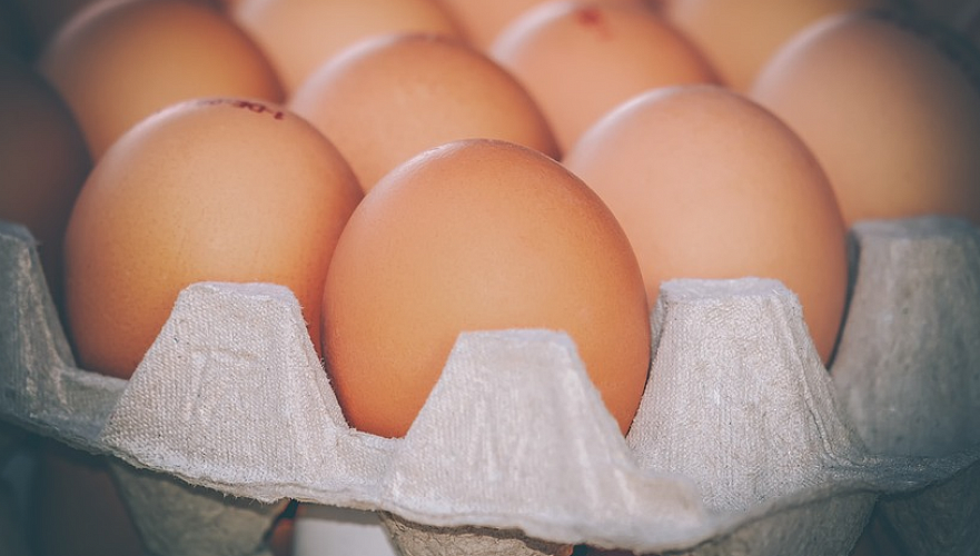 На 85% сократилось в 2020 году производство куриных яиц в Мангистауской области