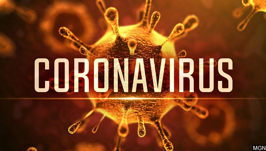 WHO has not confirmed mutation of Chinese coronavirus and called its incubation period