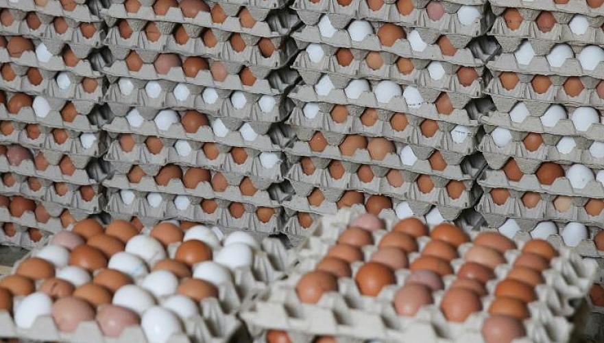 36 тыс. яиц возвращены в Россию из-за сомнительных документов – МСХ РК
