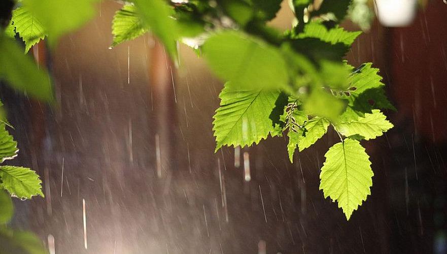 Дождь ожидается в воскресенье в Нур-Султане, в Алматы и Шымкенте без осадков