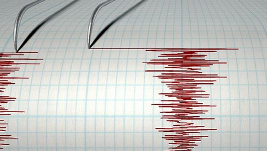 Землетрясение магнитудой 3,8 произошло в 55 км от Алматы