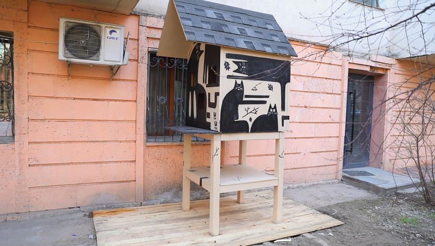 Домик для бездомных кошек установили в Алматы