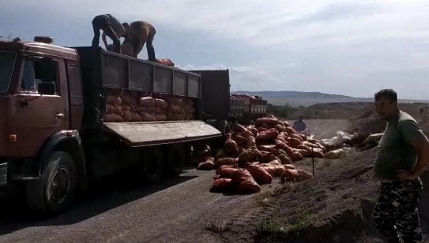 Фермеры Казахстана потеряли около Т100 млн из-за выявленного в элитных семенах Зебра чипа