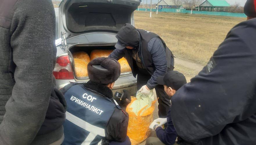 В Казахстане предлагают ввести пожизненный срок для организаторов нарколабораторий