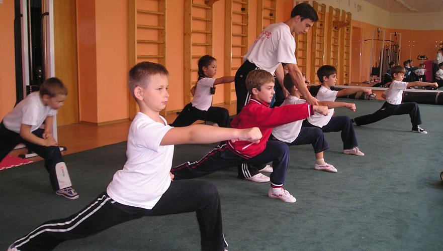 Из 16 спортивных школ в Алматы останутся 12