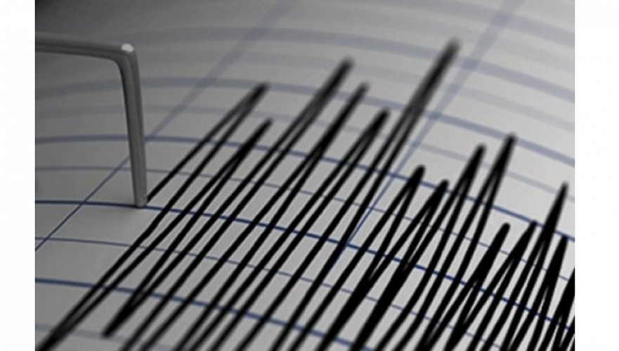 Землетрясение магнитудой 3,8 произошло в 50 км от Алматы