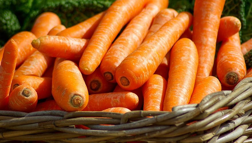 Килограмм моркови за Т16,7 тыс. собирались купить в акимате Туркестанской области 