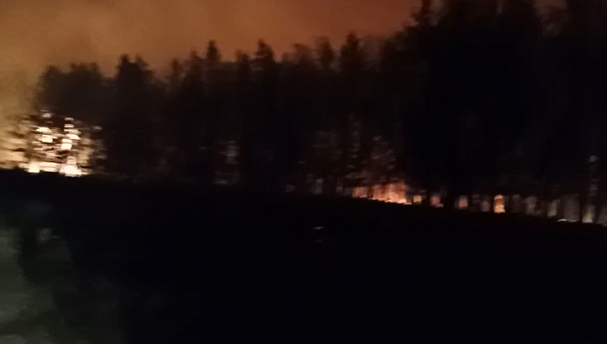 Площадь лесного пожара в Костанайской области достигла 9,4 тыс. га