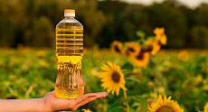 Kazakhstan significantly increased export of margarine and sunflower oil in H1  