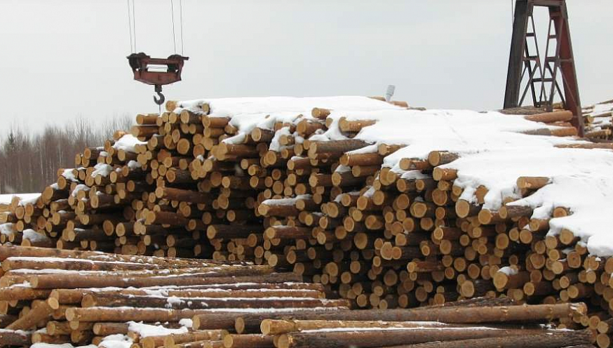 Власти Казахстана на полгода запретили вывоз некоторых видов лесоматериалов