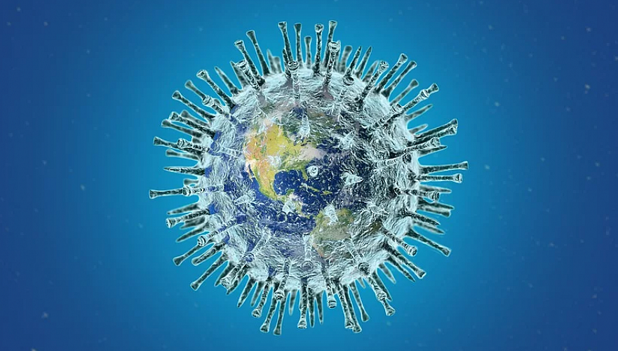Представлены 80 фактов о коронавирусе
