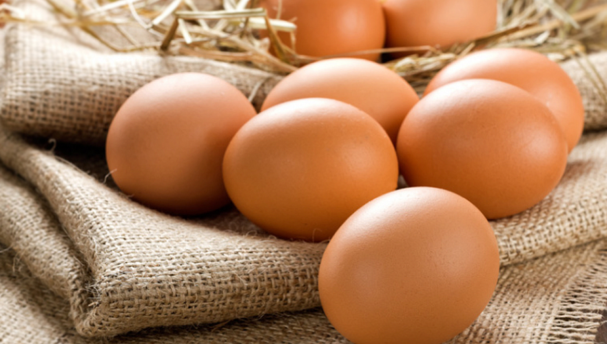 18 тонн пищевого яйца признали небезопасными в России и вернули в Казахстан