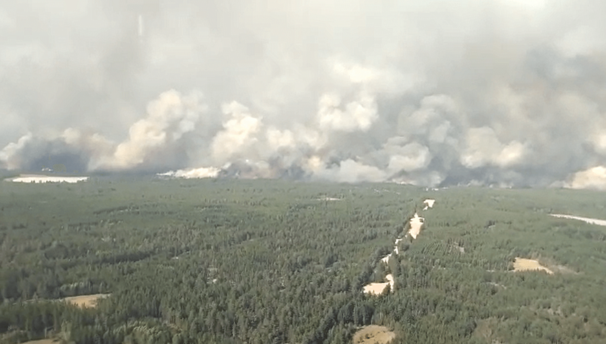 Токаев планирует посетить оперштаб по тушению лесного пожара в Костанайской области