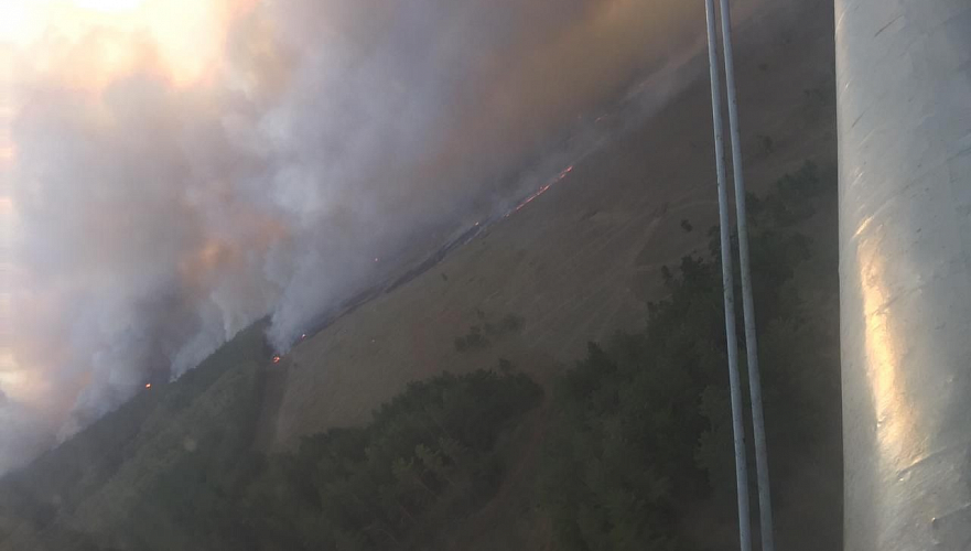 Тушить лесной пожар в Костанайской области выехали глава МЧС и службы трех других регионов