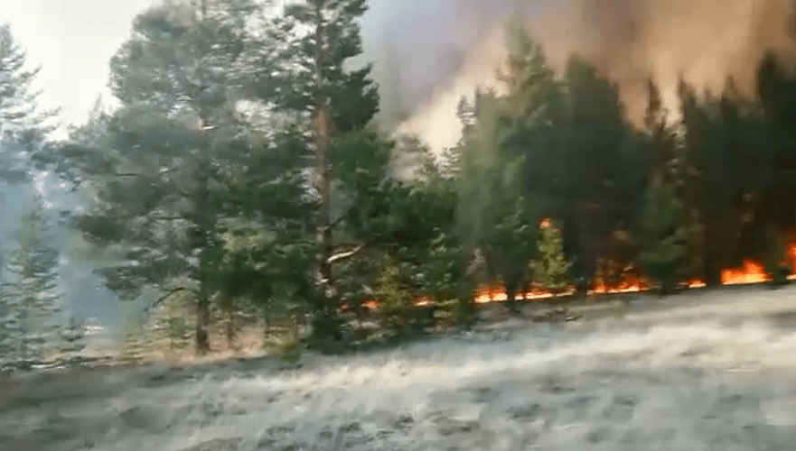 Пожар площадью около 1 тыс. га в резервате в Павлодарской области локализован