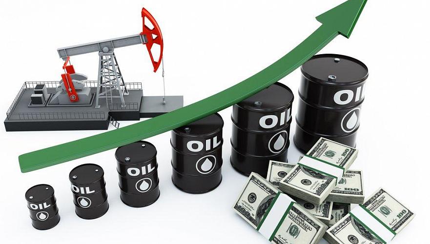 Глобальный спрос на сырую нефть может достичь пика в ближайшие 20 лет - ВР