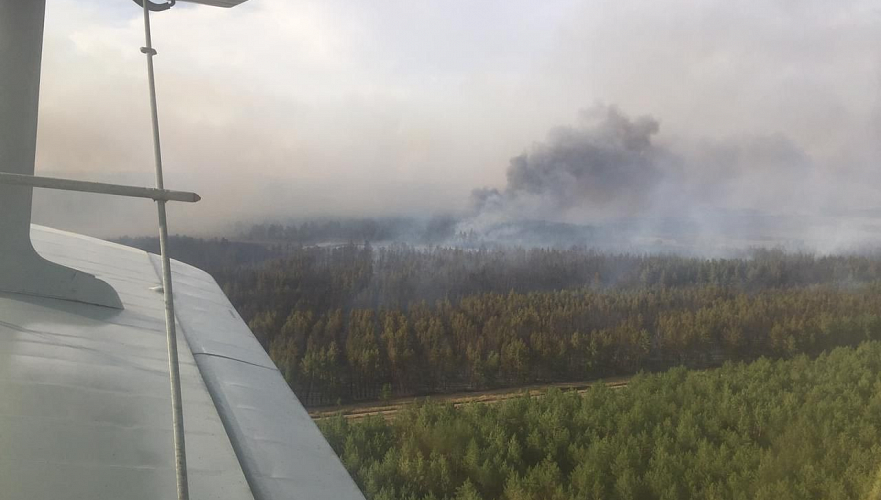 Лесной пожар в Костанайской области: Площадь растет, массово эвакуируют целые поселки
