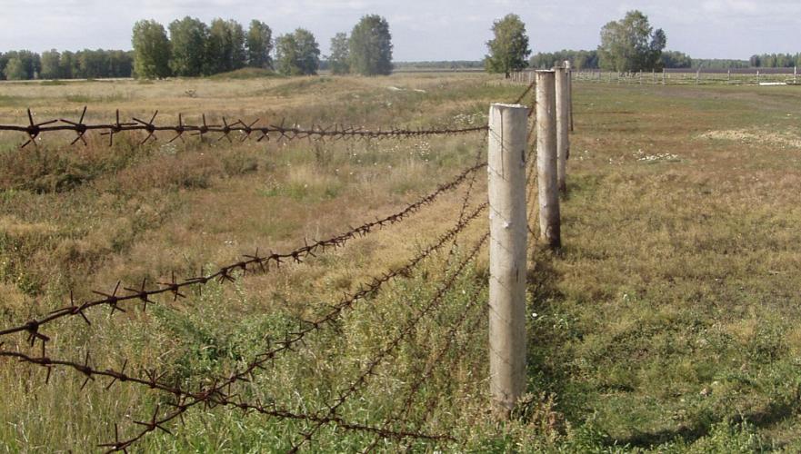 Казахстан снял ограничения на пересечение границы с Россией, Кыргызстаном и Узбекистаном
