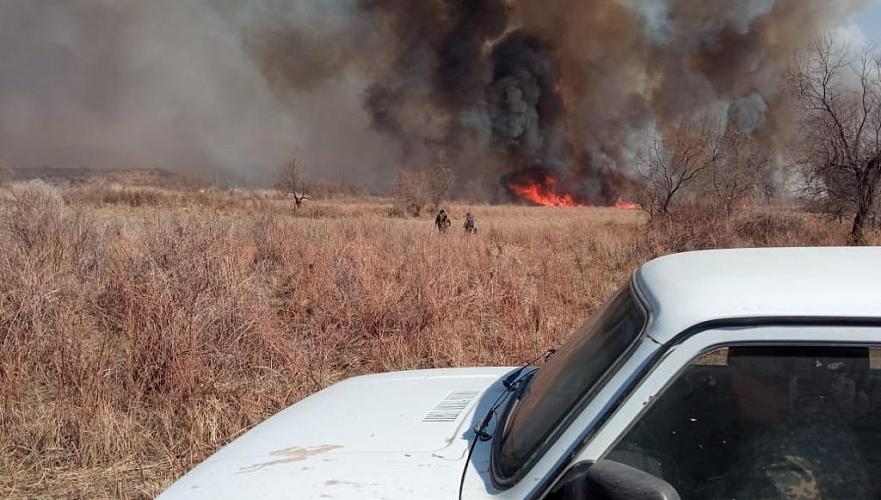 Рабочий крестьянского хозяйства получил ожоги в степном пожаре в Алматинской области (видео)